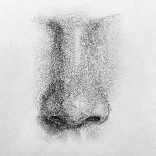 日绘社丨素描五官鼻子