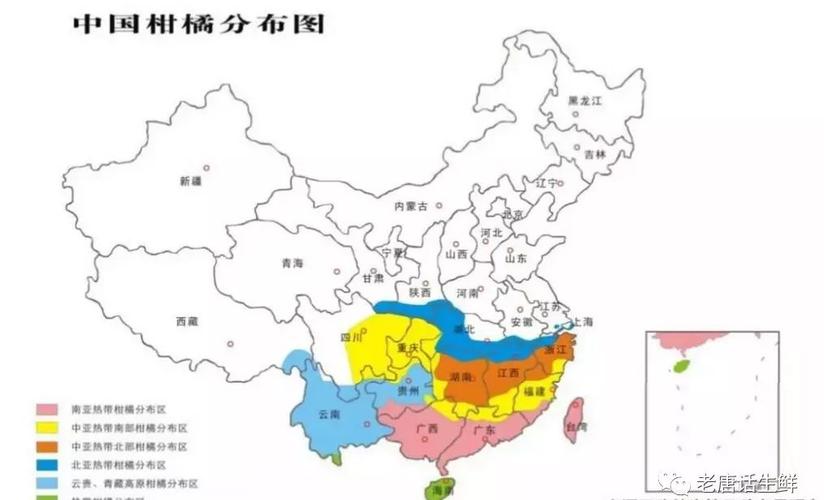 【柑橘五张图】水果采购必须掌握的产地分布,品种区分
