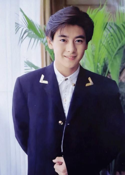 好爸爸,好丈夫人设崩塌,林志颖究竟说过多少谎?