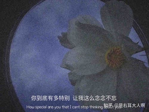 关于神明的高级救赎文案