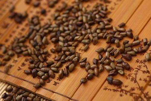 决明子和人参一起泡酒要注意什么?