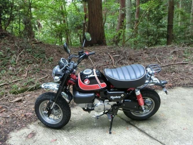 【车主有话说】独一无二的吉村改装件!本田猴子125