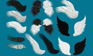 美丽的天使翅膀psd分层素材