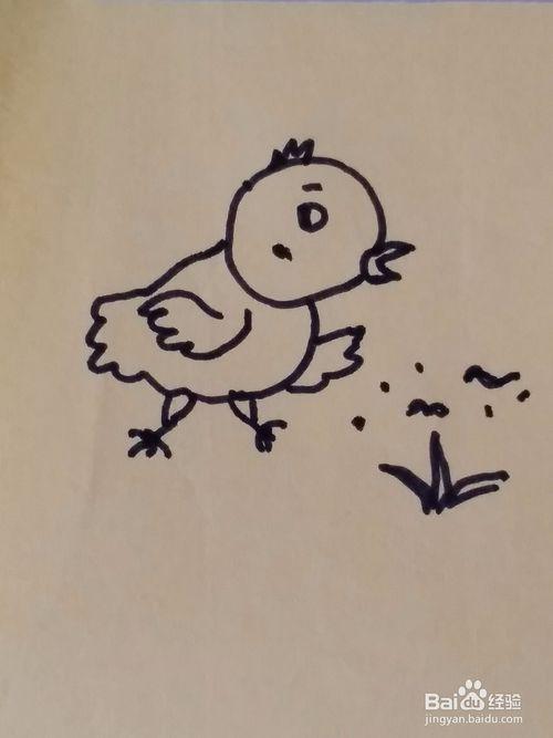 捉虫子的小鸡画法