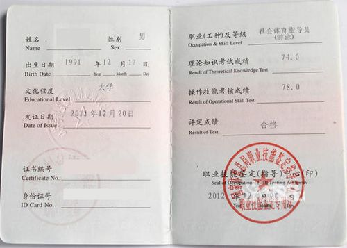 教练员从业资罗小林·青山绿水梯田侧畔的武坛俊彦健身教练资格证书