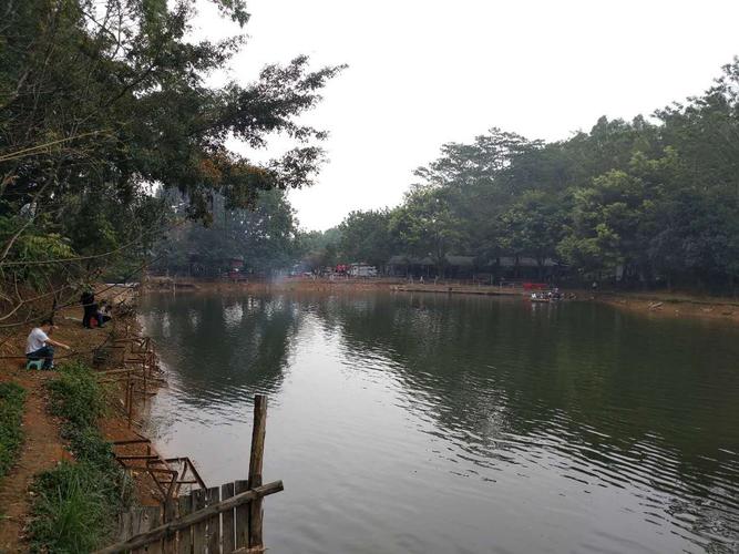深圳观澜九龙山生态园一日游在这个农家乐里的垂钓体验