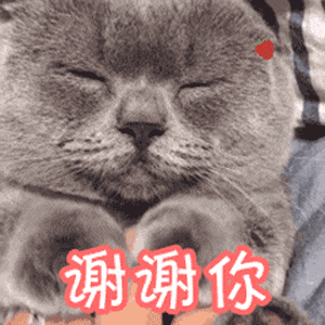 谢谢老板丨第311期喵表情包