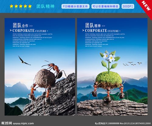 蚂蚁团队图片