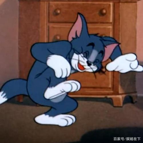 最佳美国动画片,汤姆天天欺负杰瑞,保证让你哈哈大笑