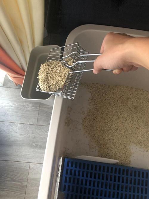 讨论收纳箱整理箱diy自制带通道猫砂盆猫厕所详细