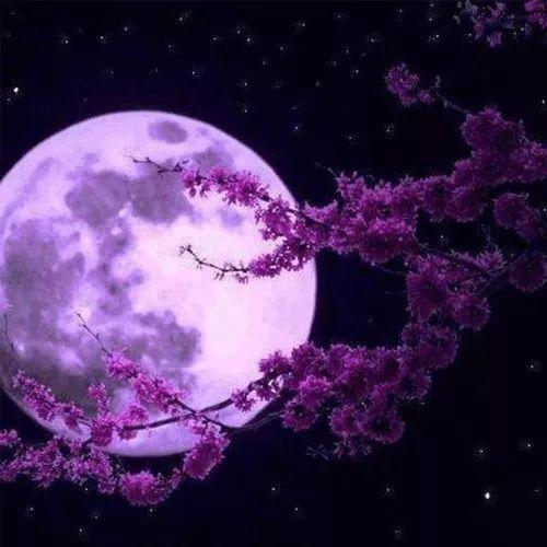 微信头像风景山水梦幻