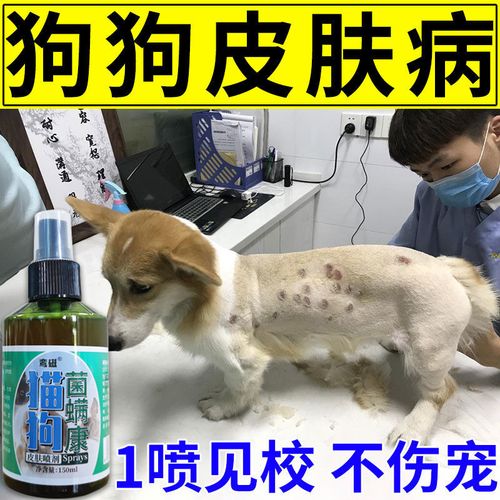 【兽医推荐】狗狗皮肤病药治真菌螨虫癣特效喷剂杀螨