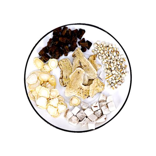 健固汤固生堂经典健脾化湿温肾助阳人参白术茯苓薏苡仁方