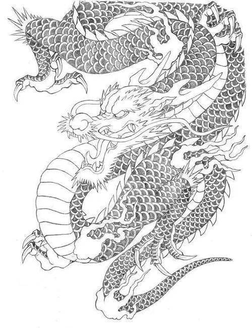 干货!龙纹高清白描线稿,艺术生打印出来临摹学习,收藏