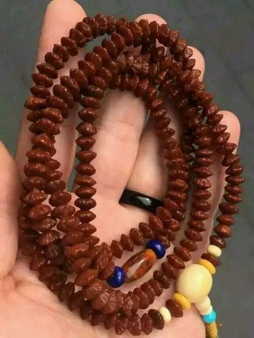 "金叶莲花菩提子"有人叫它钱串子,是一种颜值颇高的冷门文玩