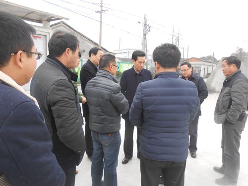 湖州市德清县新市镇新塘村
