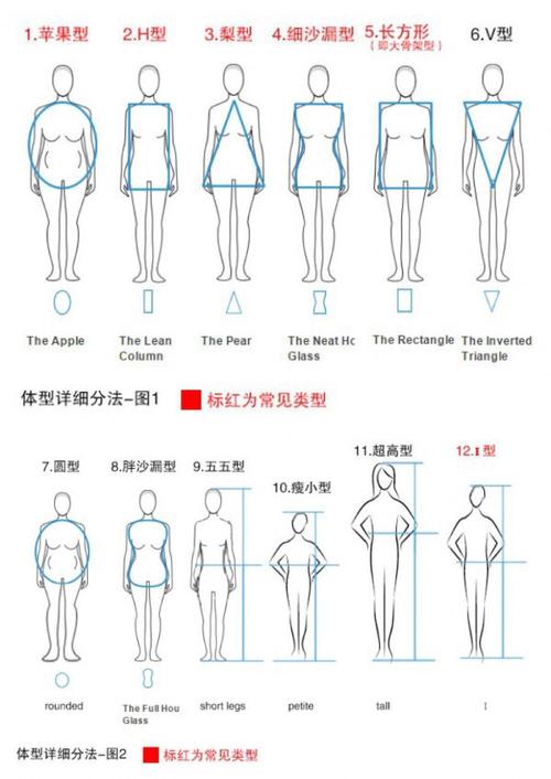 基本上,人的体型被分为以上12种,但常见的就以下五种