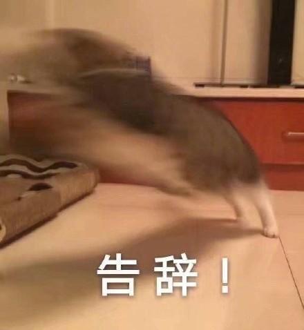 偷偷跑走表情包 - 偷偷跑走微信表情包 - 偷偷跑走qq表情包 - 发表情