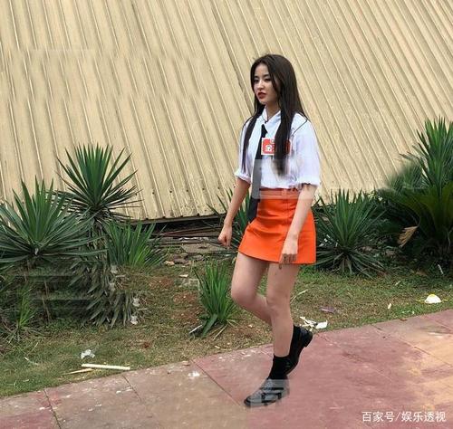 《快本》主持人选拔,杨幂沈腾公司出人,翟潇闻张颜齐金子涵加盟