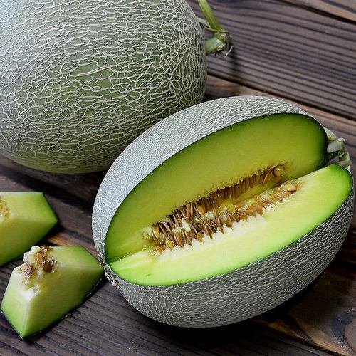 绿渡 山东海阳网纹瓜蜜瓜 4.5~5斤 天猫优惠券折后￥19.9包邮(￥29.