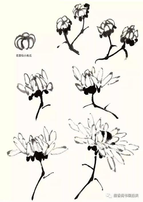 国画技法:写意菊花的画法及构图基本规律