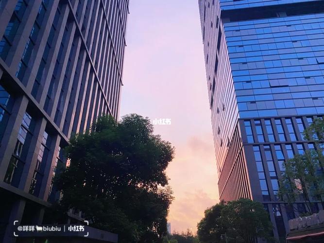 清晨五点的工作园区__工作_核酸检测_南京新城科技园攻略_玫瑰色_京都