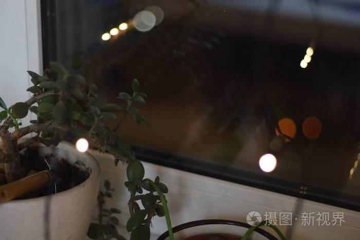窗台上有花的罐子,里面有黄色的花环,晚上在窗外的窗户旁边,还有模糊