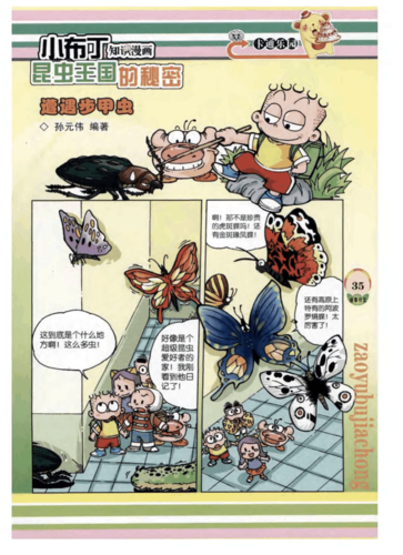 小布丁知识漫画:昆虫王国的秘密·遭遇步甲虫