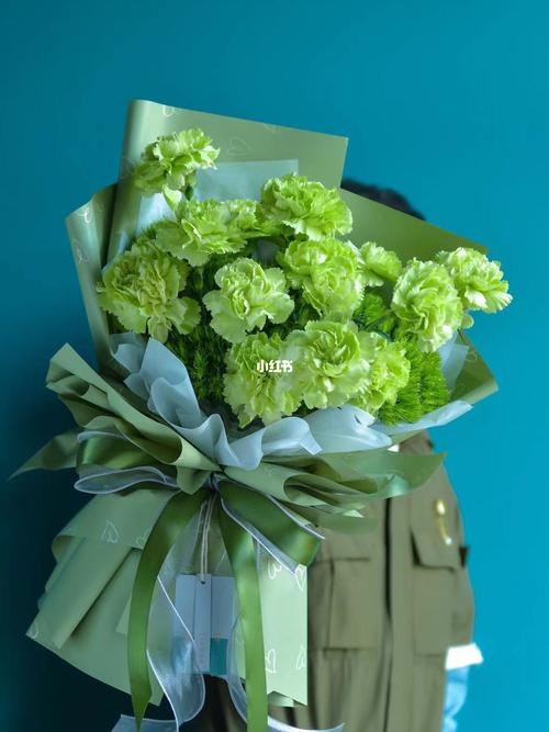 分手就送ta一束绿绿的花09_分手_家居家装_家居装饰