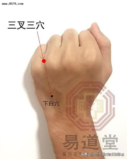 董氏奇穴三叉三穴治疗各类疾患的应用解密