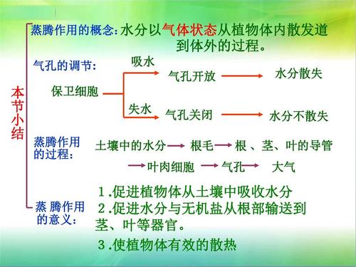 生物:《绿色植物的蒸腾作用》 济南版
