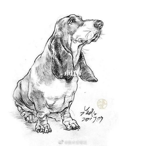 速写小动物,喜欢的拿去吧!_速写_人文_绘画