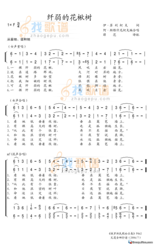 纤弱的花楸树_纤弱的花楸树简谱_纤弱的花楸树吉他谱