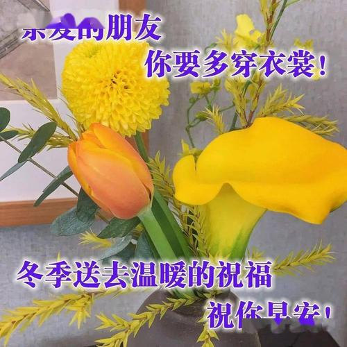 冬天早上好问候语带图片,早安祝福语阳光图片表情大全