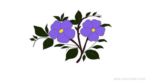 紫罗兰简笔画怎么画紫罗兰简笔画简单又好看