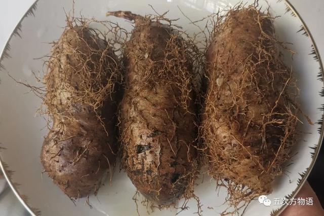 薯蓣科三兄弟薯蓣参薯和甘薯