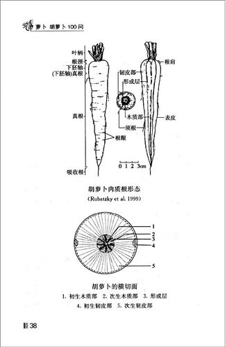 萝卜 胡萝卜100问