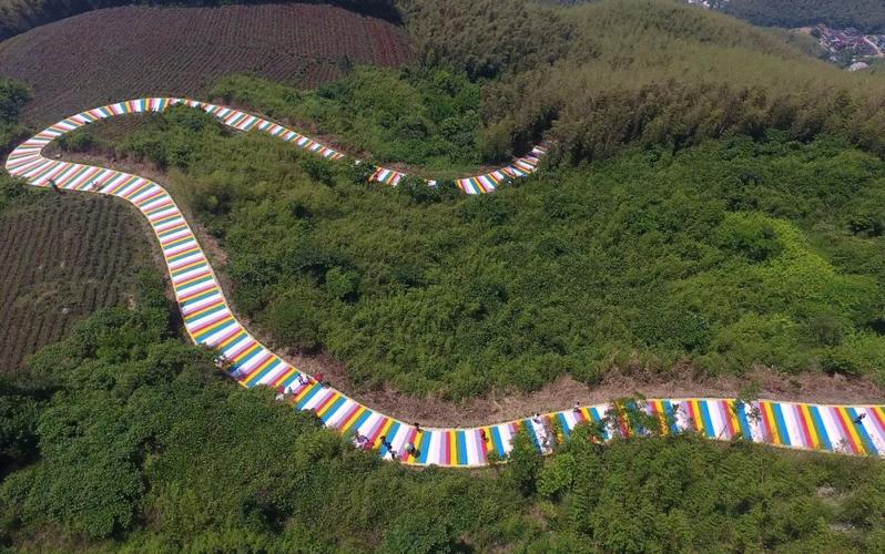 快去打卡千米彩虹路亮相德清莫干山还是在茶园里