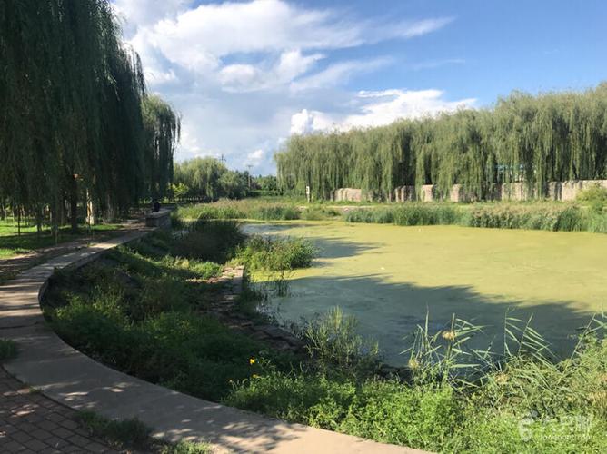 20180830伊通河新增地块现场勘查脚印-19_脚印_长春