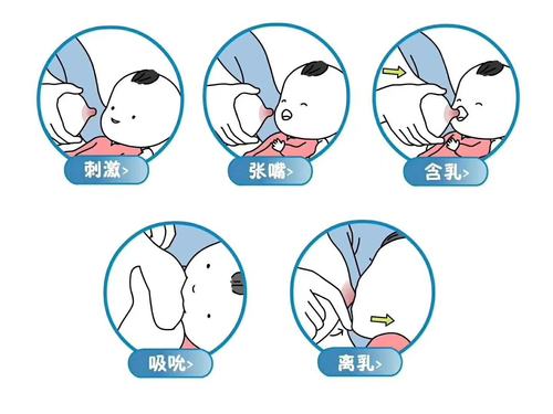 母乳喂养的正确含接姿势