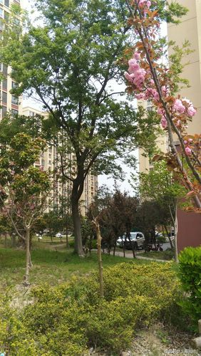 环境优美的居住小区10