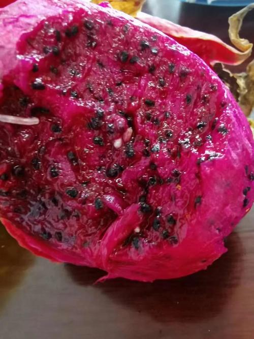 姑娘买来火龙果,吃到一半,被恶心坏了