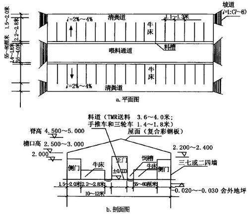 图2-4双列式牛舍的平面和剖面图