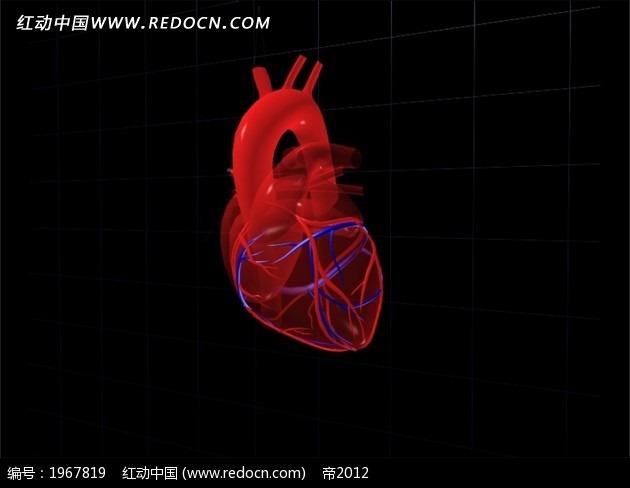 心脏三维视频片头