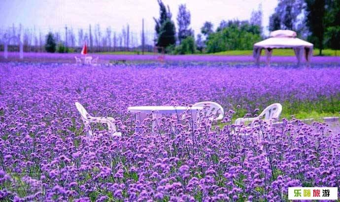 北京旅游景点:永定河紫谷伊甸园 有人关注