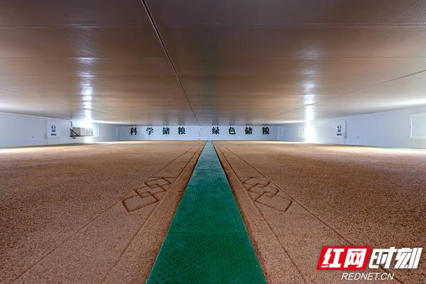 渌口国家粮食储备库的储粮仓库.(受访者供图)