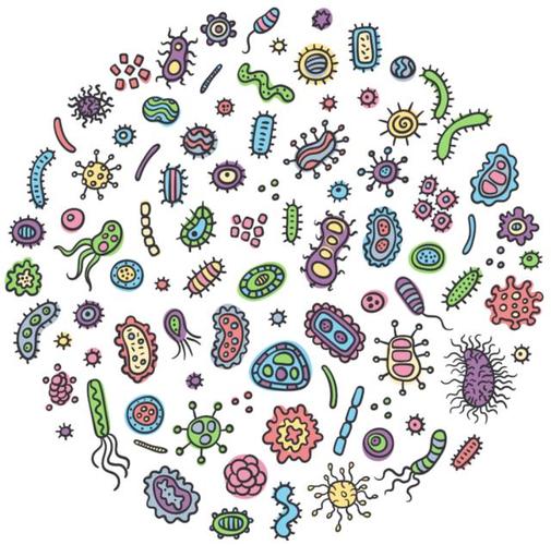 人体组成:身为细胞集合体的你,布满了微生物!