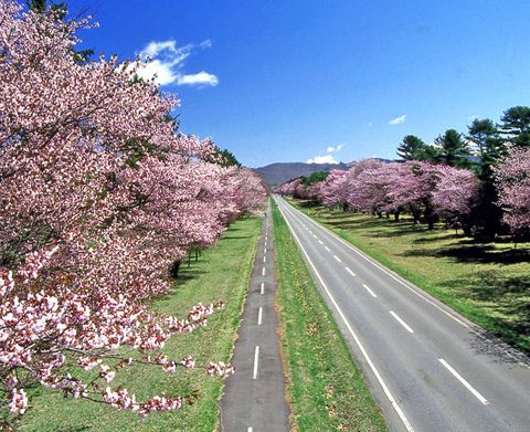 北海道   北海道