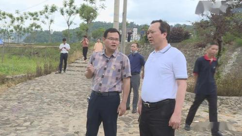 龙岩市副市长王建生到漳平市调研文旅商务工作