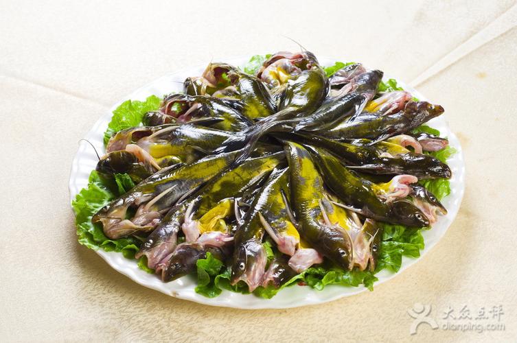 黄辣丁